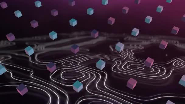 Animation Rows Pink Blue Cubes Moving Formation Seamless Loop White — Stock Video