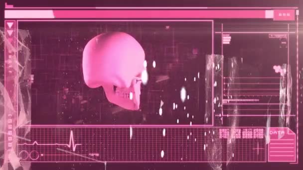 Ekranda Dijital Arayüz Işleme Dönen Insan Kafatasının Animasyonu Küresel Teknoloji — Stok video