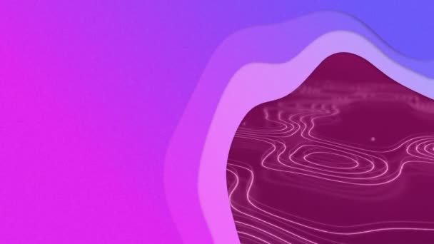 Animation Pink Purple Screen Revealing Multiple Purple Lines Moving Hypnotic — Stock Video