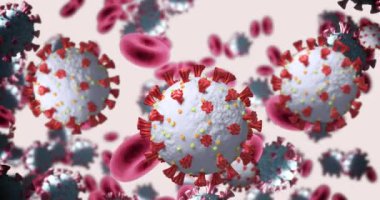 Beyaz arka planda dönen 3 boyutlu makro koronavirüs ve kırmızı kan hücrelerinin animasyonu. Küresel koronavirüs Covid 19 salgın konsepti dijital olarak oluşturulmuş görüntü.