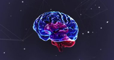 Siyah zemin üzerinde bağlantılar ve veri işleme ağı olan 3D mavi insan beyninin animasyonu. Küresel tıp bilimi araştırma konsepti dijital olarak oluşturulmuş görüntü.
