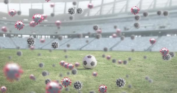 用一个足球在空荡荡的体育场上浮着的珊瑚细胞的动画 Global Covid Coronavirus Pandemic Sport Concept Digital Generated Image — 图库视频影像