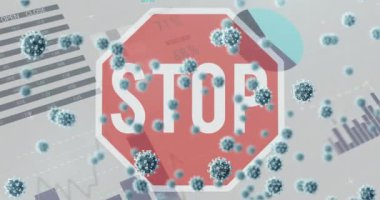 Dur işaretinin üzerinde yüzen grafikler, istatistikler ve 3D koronavirüs hücreleriyle dijital arayüzün animasyonu. Global Covid 19 koronavirüs pandemik konsept dijital olarak üretilen görüntü.