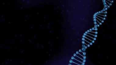 Parlak arkaplanda mavi parçacıklarla oluşan dönen üç boyutlu DNA iplikçiklerinin animasyonu. Küresel tıp araştırma bilimi konsepti dijital olarak oluşturulmuş görüntü.