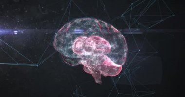 Siyah arkaplan üzerinde bağlantılar ve veri işleme ağı olan 3 boyutlu pembe insan beyni animasyonu. Küresel tıp bilimi araştırma konsepti dijital olarak oluşturulmuş görüntü.