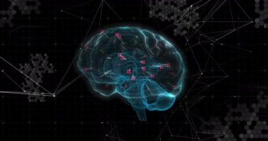 Siyah zemin üzerinde bağlantılar ve veri işleme ağı olan 3D mavi insan beyninin animasyonu. Küresel tıp bilimi araştırma konsepti dijital olarak oluşturulmuş görüntü.