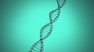 Şebeke üzerinde dönen üç boyutlu DNA iplikçiklerinin animasyonu ve yeşil eğimli arkaplanda noktalar. Küresel bilim genetik ağ konsepti dijital olarak oluşturulmuş görüntü.