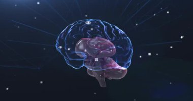 Mavi arka planda bağlantıları ve veri işleme ağı olan 3D mavi insan beyninin animasyonu. Küresel tıp bilimi araştırma konsepti dijital olarak oluşturulmuş görüntü.