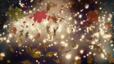 Hareket eden birden fazla parlak noktanın animasyonu ve ışıldayan arka planda hipnotik hareketler yapan yapraklar. Renk ışığı sonbaharı ve hareket konsepti dijital olarak oluşturuldu.
