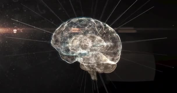 三维灰色发光人脑的动画 在黑色背景上具有连接网络和数据处理功能 全球医学科学研究概念数字生成的图像 — 图库视频影像