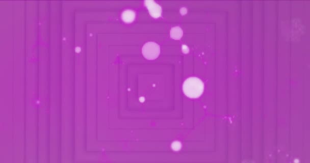 ピンクの同心円状の正方形の背景に浮かぶ接続された白い斑点のネットワークのアニメーション 接続と移動の概念デジタル生成された画像 — ストック動画