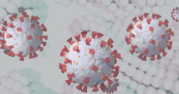 Animation Coronavirus Covid Cellules Filant Sur Fond Bulles Blanches Concept — Video