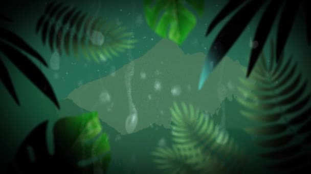 Animation Rain Drops Falling Window Multiple Green Lush Exotic Plants — Stock Video