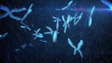 Mavi arka planda dönen DNA iplikçiklerinin animasyonu. Küresel bilim, bilgisayar ve veri işleme kavramı dijital olarak oluşturulmuş video.