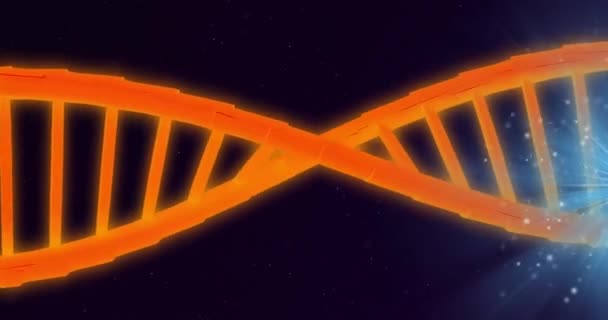 橙色Dna链的动画和蓝色背景上的发光灯 全球科学 计算和数据处理概念 — 图库视频影像