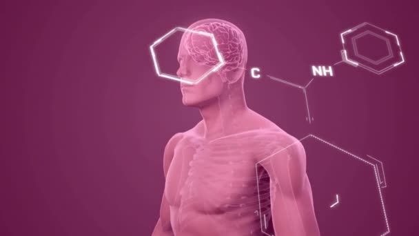 Animación Fórmula Química Sobre Humano Digital Concepto Ciencia Global Interfaz — Vídeo de stock