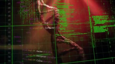 Kırmızı zemin üzerindeki DNA ipliği üzerinde veri işleme animasyonu. Bilim, teknoloji, bilgisayar ve dijital arayüz konsepti dijital olarak oluşturulmuş video.