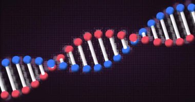 Siyah arkaplandaki DNA iplikçiklerinin canlandırılması. Küresel bilim ve dijital arayüz kavramı dijital olarak oluşturulmuş video.