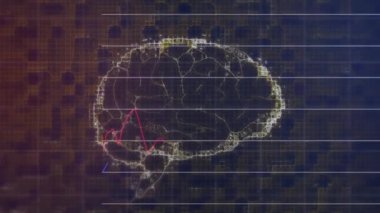 Karanlık arka planda insan beyni üzerinden finansal veri işleme animasyonu. Küresel iş, bağlantılar, hesaplama ve veri işleme kavramı dijital olarak oluşturulmuş video.
