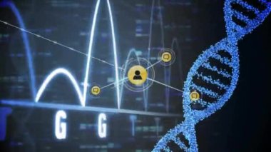 Koyu arkaplandaki DNA iplikçikleri üzerinden insanlarla bağlantı ağının animasyonu. Küresel finans, iş, bağlantılar, hesaplama ve veri işleme kavramı dijital olarak oluşturulmuş video.