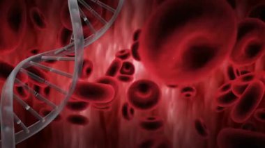 Yüzen kan hücrelerinin üzerindeki DNA iplikçiklerinin canlandırılması. Küresel bilim, salgın ve dijital arayüz kavramı dijital olarak oluşturulmuş video.