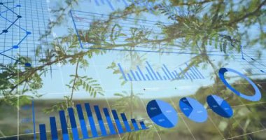 Manzara üzerinde finansal veri işleme animasyonu. Küresel finans, iş, bağlantılar, hesaplama ve veri işleme kavramı dijital olarak oluşturulmuş video.