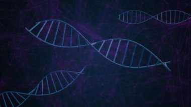 Siyah arkaplandaki bağlantı ağının üzerindeki DNA iplikçiklerinin animasyonu. Dijital olarak oluşturulmuş küresel bağlantılar, bilim ve dijital arayüz kavramı.