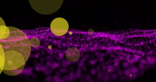 Animatie Van Gele Paarse Lichtvlekken Zwarte Achtergrond Licht Kleuren Bewegings — Stockvideo