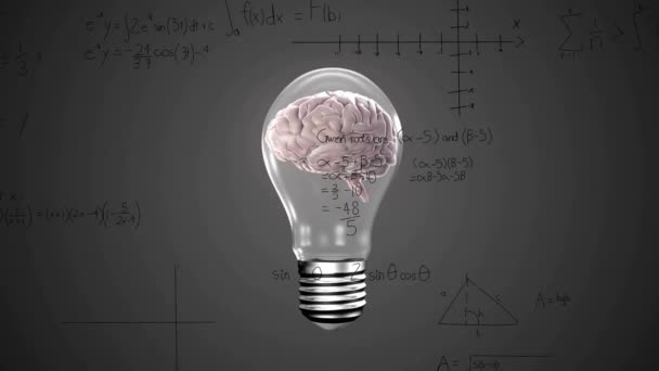 Animace Zpracování Matematických Dat Nad Lidským Mozkem Žárovkách Globální Věda — Stock video