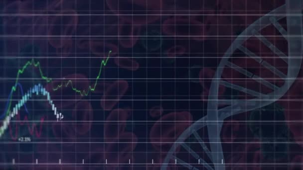 Animacja Nici Dna Wykresach Wykresach Przetwarzających Dane Czarnym Tle Dane — Wideo stockowe