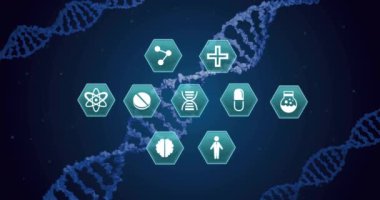 Mavi arka planda DNA üzerinde tıbbi ikonların canlandırılması. Bağlantı, bilim, tıbbi araştırma, sağlık, dijital arayüz ve iletişim, dijital olarak oluşturulmuş video.