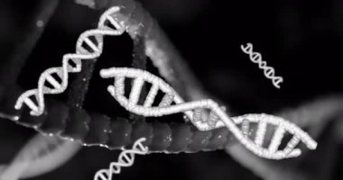 Siyah arka plandaki DNA iplikçiklerinin animasyonu. küresel bilim ve dijital arayüz kavramı dijital olarak oluşturulmuş video.