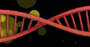 Karanlık arka planda parlayan noktaların üzerinde dönen DNA iplikçiklerinin animasyonu. Küresel bilim, bağlantılar, hesaplama ve veri işleme kavramı dijital olarak oluşturulmuş video.