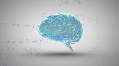Gri arka planda insan beyni üzerinde matematiksel veri işleme animasyonu. Küresel bilim, bağlantılar, hesaplama ve veri işleme kavramı dijital olarak oluşturulmuş video.