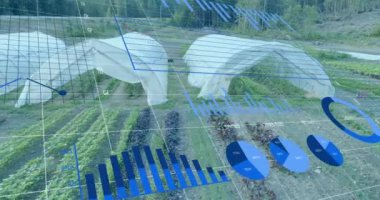 Bahçede finansal veri işleme animasyonu. Küresel finans, iş, bağlantılar, hesaplama ve veri işleme kavramı dijital olarak oluşturulmuş video.