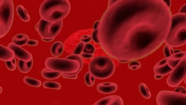Animatie Van Bloedcellen Cellen Rode Achtergrond Wereldwijd Concept Voor Wetenschap — Stockvideo