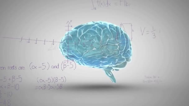 Animacja Matematycznego Przetwarzania Danych Nad Ludzkim Mózgiem Szarym Tle Koncepcja — Wideo stockowe
