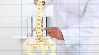 Kafkas erkek doktorun omurga çalışmasıyla ilgili verileri işleme animasyonu. Veri, dijital arayüz, tıp, sağlık, eğitim ve iletişim, dijital olarak oluşturulmuş video.