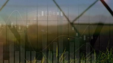 Manzara üzerinde finansal veri işleme animasyonu. Küresel finans, iş, bağlantılar, hesaplama ve veri işleme kavramı dijital olarak oluşturulmuş video.