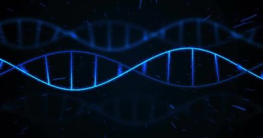 Mavi izler ve siyah arka plandaki DNA iplikçiklerinin animasyonu. Küresel bilim ve dijital arayüz kavramı dijital olarak oluşturulmuş video.