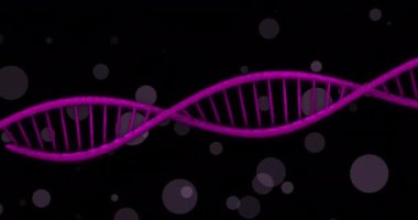 Karanlık arka planda parlayan noktaların üzerinde dönen DNA iplikçiklerinin animasyonu. Küresel bilim, bağlantılar, hesaplama ve veri işleme kavramı dijital olarak oluşturulmuş video.