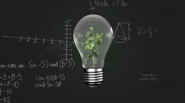 Ampulde büyüyen bitkinin üzerinde matematiksel veri işleme animasyonu. Küresel bilim, bağlantılar, hesaplama ve veri işleme kavramı dijital olarak oluşturulmuş video.