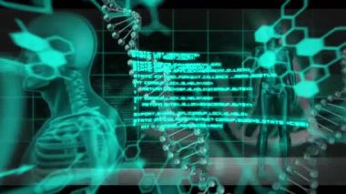 İnsan iskeleti üzerinde bilimsel veri işleme animasyonu. Küresel bilim, bilgisayar ve veri işleme kavramı dijital olarak oluşturulmuş video.