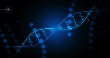 Işık noktalarının üzerindeki DNA iplikçiklerinin animasyonu. Küresel bilim, teknoloji ve dijital arayüz kavramı dijital olarak oluşturulmuş video.