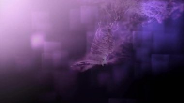 Koyu arkaplanda parlak mor ışık yolları ve mor karelerin animasyonu. Renk, ışık, hareket ve veri aktarım konsepti dijital olarak oluşturulmuş video.