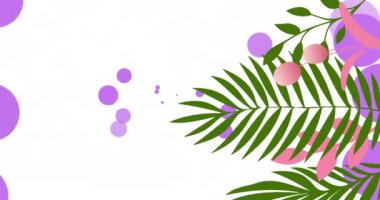 Mor lekelerin ve beyaz arkaplanda yaprakların animasyonu. Doğa, renkler ve şablon konsepti dijital olarak oluşturulmuş video.