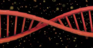 Karanlık arka planda parlayan noktaların üzerinde dönen DNA iplikçiklerinin animasyonu. Küresel bilim, bağlantılar, hesaplama ve veri işleme kavramı dijital olarak oluşturulmuş video.