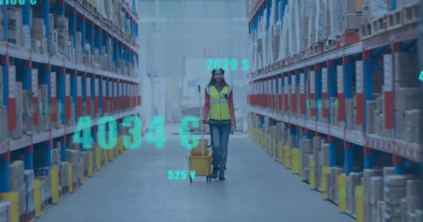 Animering Digital Databehandling Över Biracial Kvinna Som Arbetar Lager Global — Stockvideo