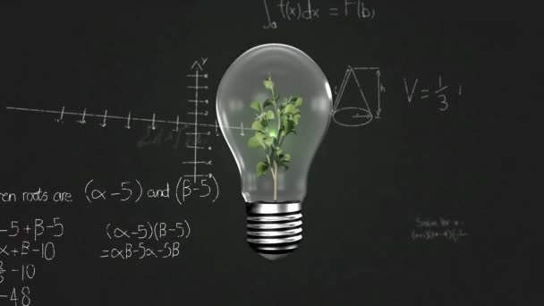 Animace Zpracování Matematických Dat Nad Rostlinami Pěstovanými Žárovkách Globální Věda — Stock video