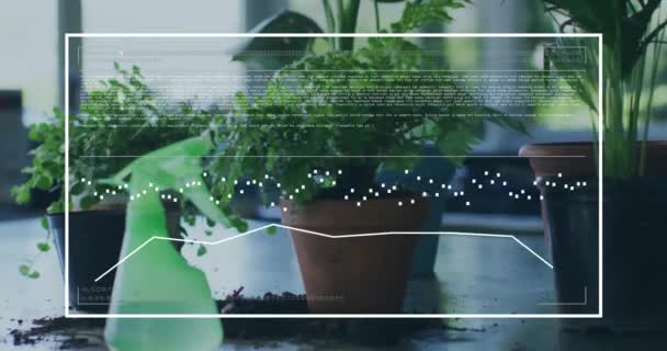 Анимирование Обработки Данных Над Растениями Горшках Домашних Условиях Природа Технологии — стоковое видео
